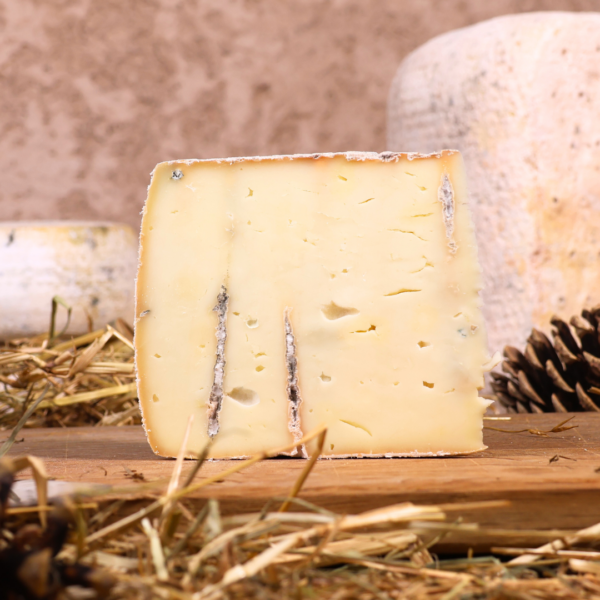 BON BLEU D'AYAS HORECA