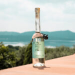 CELLA GRANDE GRAPPA “ERBALUS”