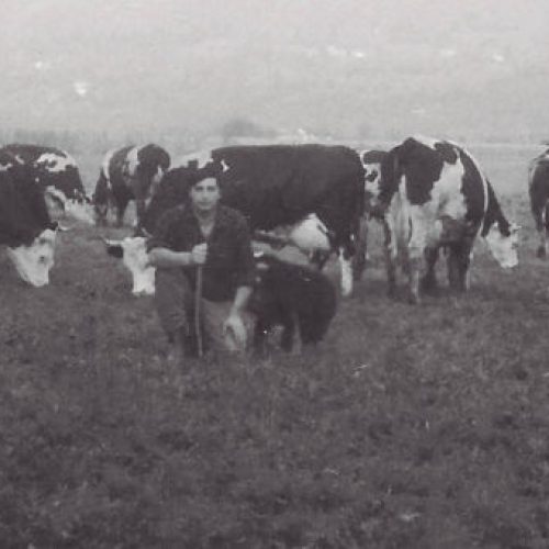 storia-bagnod-1376x698-1-670x340